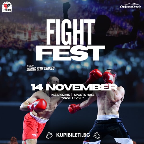 Плакат: FIGHT FEST 3