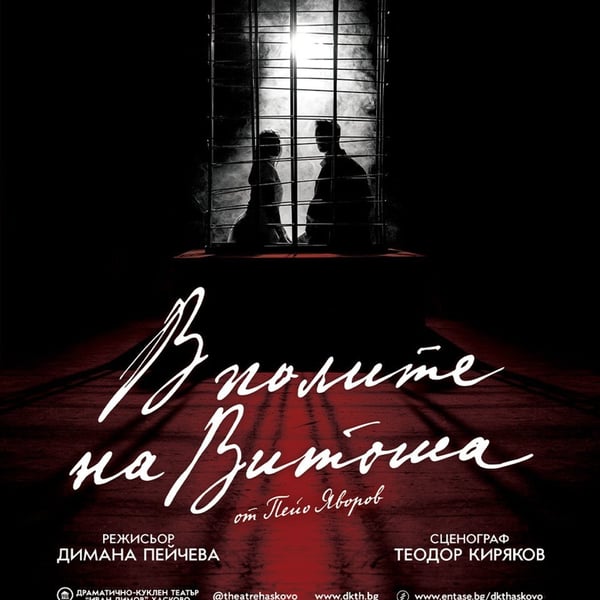 Плакат: В полите на Витоша