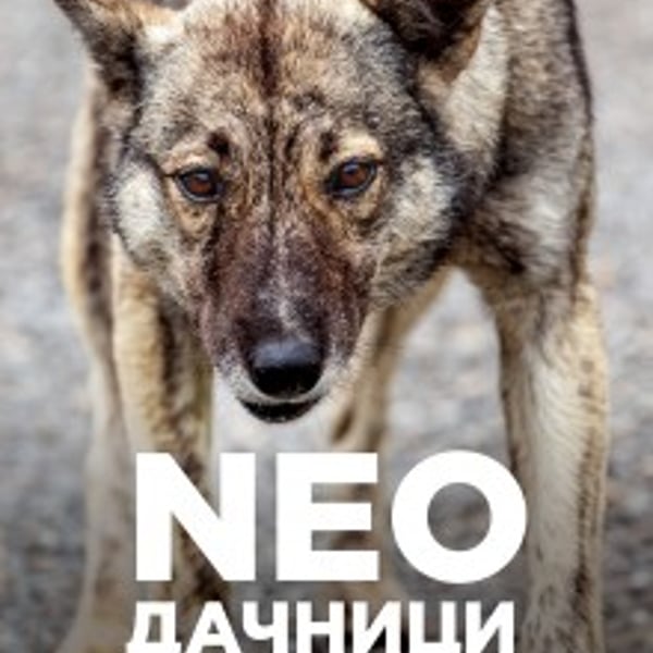 Плакат: Neoдачници