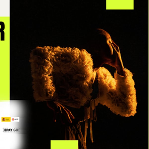 Плакат: The Mother Effect | Derida Dance Fest 2026