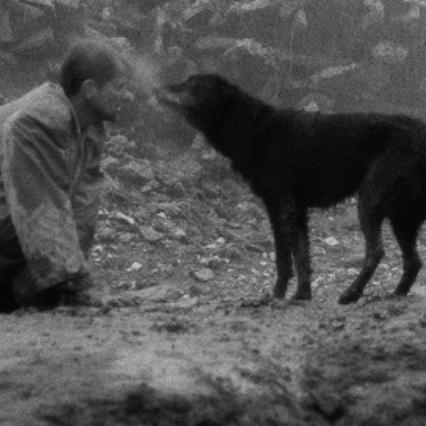 Плакат: Проклятие/ Damnation (1988)