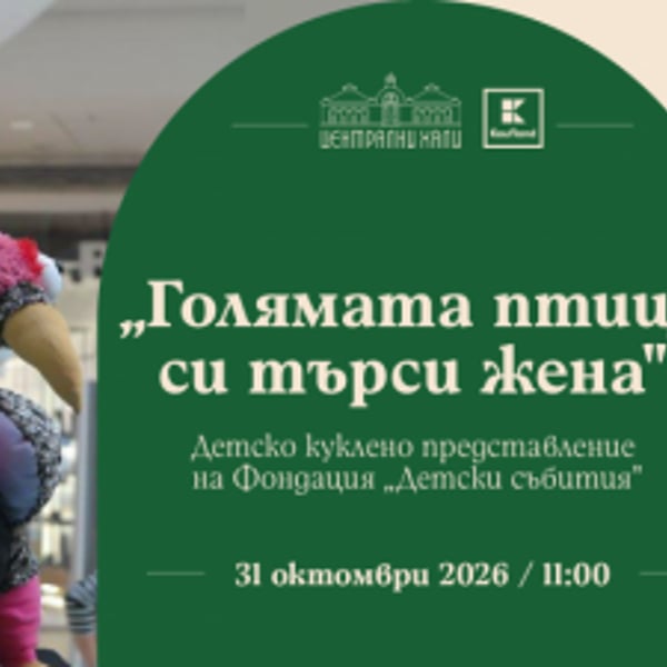 Плакат: Детско куклено представление на Фондация „Детски събития“ - „Голямата птица си търси жена“