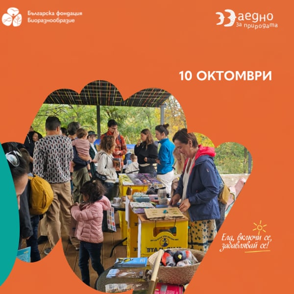 Плакат: Природа Фест