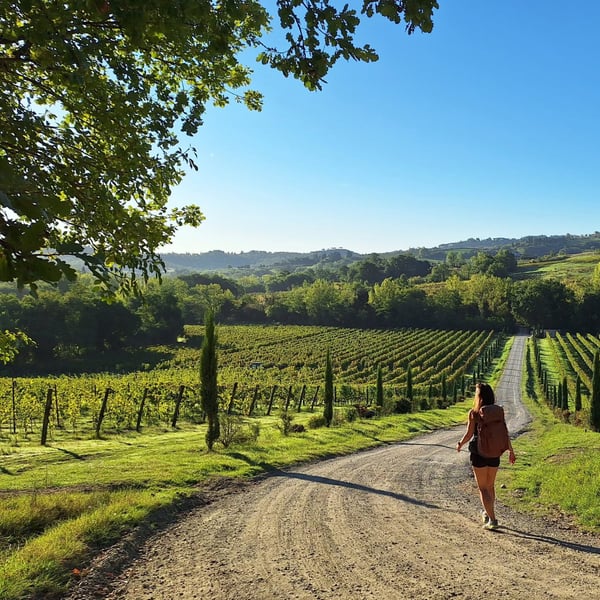 Плакат: Via Francigena – 400km oт Пиза до Рим
