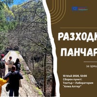 Плакат: Разходка в Панчарево