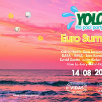 Плакат: 14.08 FRIDAY | YOLO the POOL Party vol.2 @ FOMO in the park | VIDAS ART ARENA