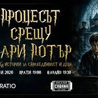Плакат: Процесът срещу Хари Потър (и други истории за справедливост и деца)