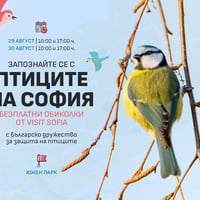 Плакат: Запознайте се с птиците на София - безплатни обиколки