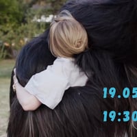Плакат: Toni Erdmann | Тони Ердман на IPFF