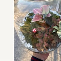 Плакат: Terrarium Workshop - Sofia 27ми Септември