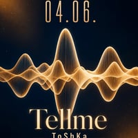 Плакат: Music Vibe with Toshka