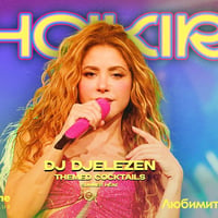 Плакат: Shakira Night