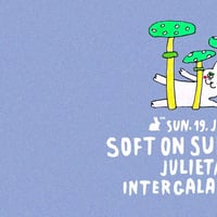 Плакат: SOFT on SUN:DAY