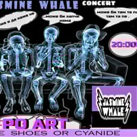 Плакат: НУФРИ и Ненко Милев в JASMINE WHALE Acoustic