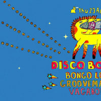 Плакат: Disco Bongo