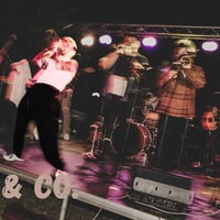 Плакат: Van. & Co.