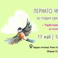 Плакат: Пернато Читалище 2