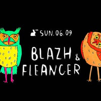 Плакат: Blazh & Fleanger