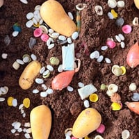 Плакат: Ден на Земята в двора на НЧ „Алеко Константинов“-1897