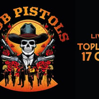 Плакат: DUB PISTOLS (UK) | LIVE IN SOFIA