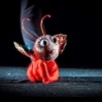 Плакат: ЛЕЧЕ - БУБОЛЕЧЕ