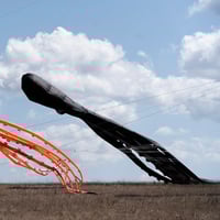 Плакат: НЕБЕСНАТА МЕХАНИКА НА ХВЪРЧИЛАТА | Среща с екипа на филма | 30-ТИ МЕЖДУНАРОДЕН СОФИЯ ФИЛМ ФЕСТ |