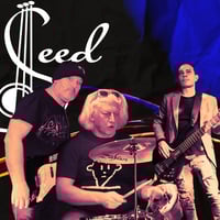 Плакат: DaaSeed 🎷 Roberto Perego