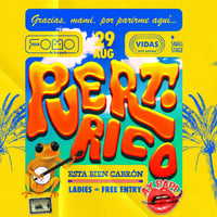 Плакат: 29.08 Ay, Papi 🇵🇷 PUERTO RICO NIGHT | FOMO in the park @VIDAS Art Arena