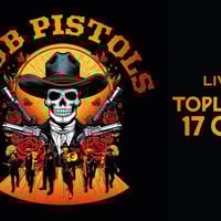 Плакат: DUB PISTOLS (UK) | LIVE IN SOFIA