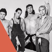 Плакат: Red Hot Chili Peppers Tribute - Naga Vipers @Swingin' Hall
