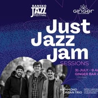 Плакат: Just Jazz Jam - Bansko Jazz Festival Special Edition