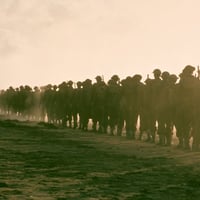 Плакат: ПИНК ФЛОЙД: СТЕНАТА | САЛОН НА ИЗКУСТВАТА