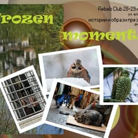 Плакат: DIMO YORDANOV --- FROZEN MOMENTS --- REBELS CLUB