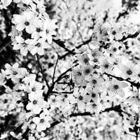 Плакат: Пролетни вариации и импровизации за любовта!