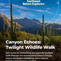 Плакат: Canyon Echoes: Twilight Wildlife Walk