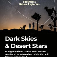 Плакат: Dark Skies & Desert Stars