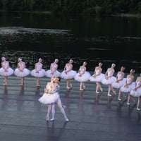 Плакат: ЛЕБЕДОВО ЕЗЕРО