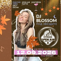 Плакат: DJ Blossom pop/dance autumn