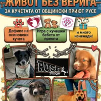 Плакат: Живот без верига за кучетата от общинския приют в Русе