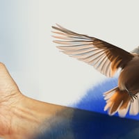 Плакат: СЛАВЕЯТ