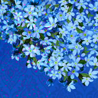 Плакат: Незабравимата оперета