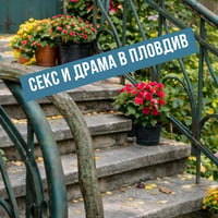 Плакат: СЕКС И ДРАМА в Пловдив