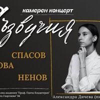 Плакат: Камерен концерт Съзвучия