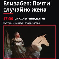 Плакат: Елизабет: Почти случайно жена #ДанаилЧирпански