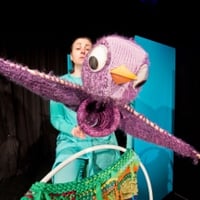 Плакат: КОСЕ БОСЕ