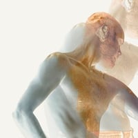 Плакат: ICC Shows: PHANTOM