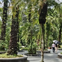 Плакат: Сингапур – разходка в бъдещето с Вера Александрова