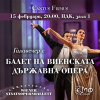 Плакат: БАЛЕТ НА ВИЕНСКАТА ОПЕРА