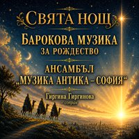 Плакат: Концерт Свята нощ