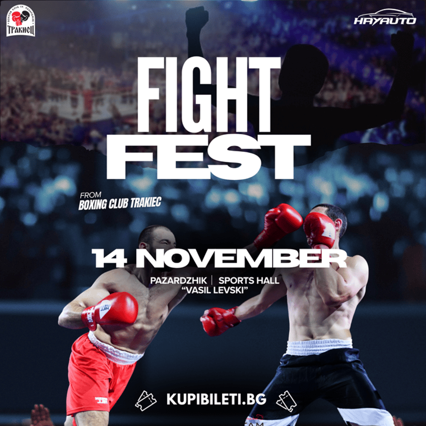 Плакат: FIGHT FEST 3